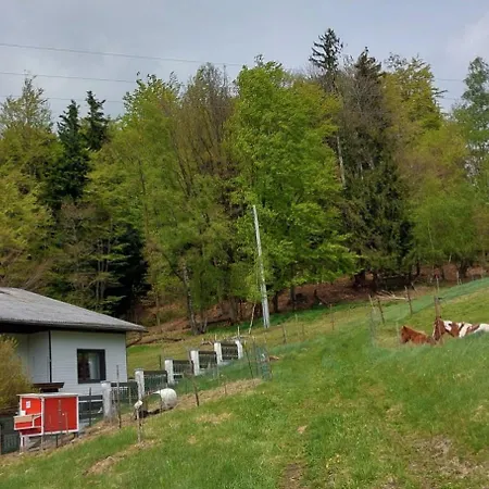 公寓 Kriegwald Apartements