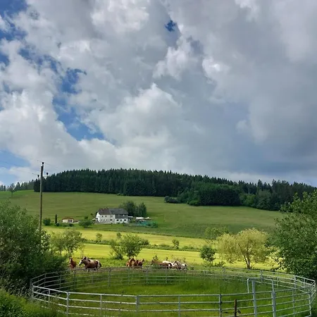 Kriegwald Apartements 公寓 *