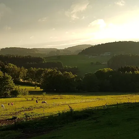 公寓 Kriegwald Apartements *