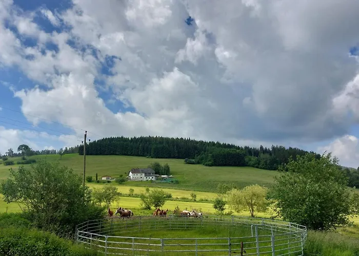 Kriegwald Apartements Daire *