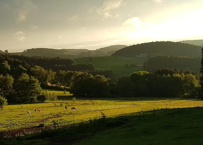 Daire Kriegwald Apartements *