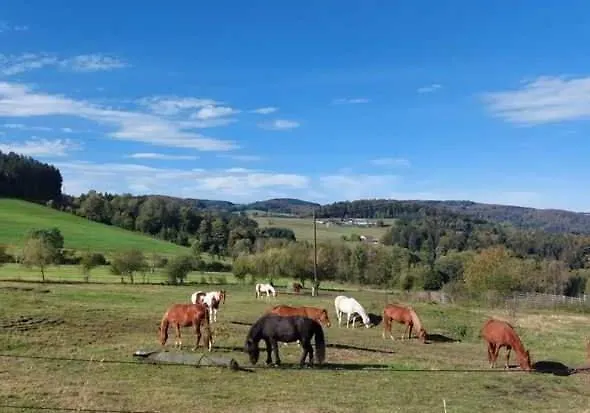 Kriegwald Apartements *