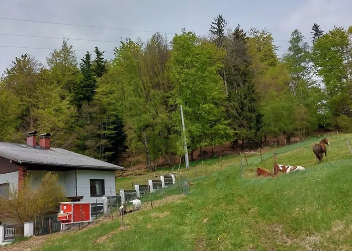 Апартаменты Kriegwald Apartements